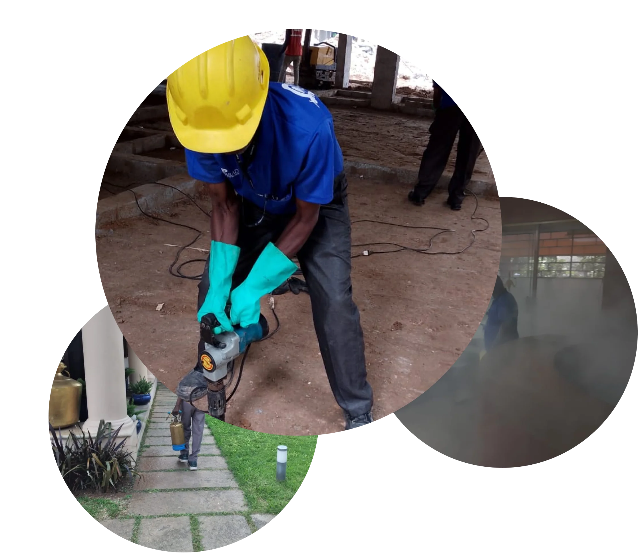 Best pest control services in coimbatore