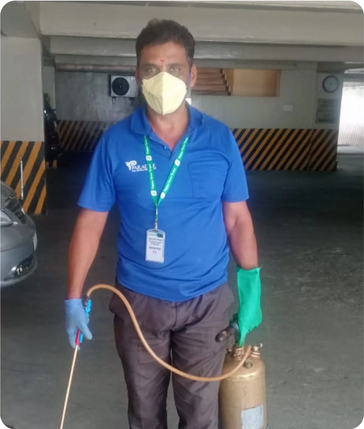 Best pest control services in coimbatore