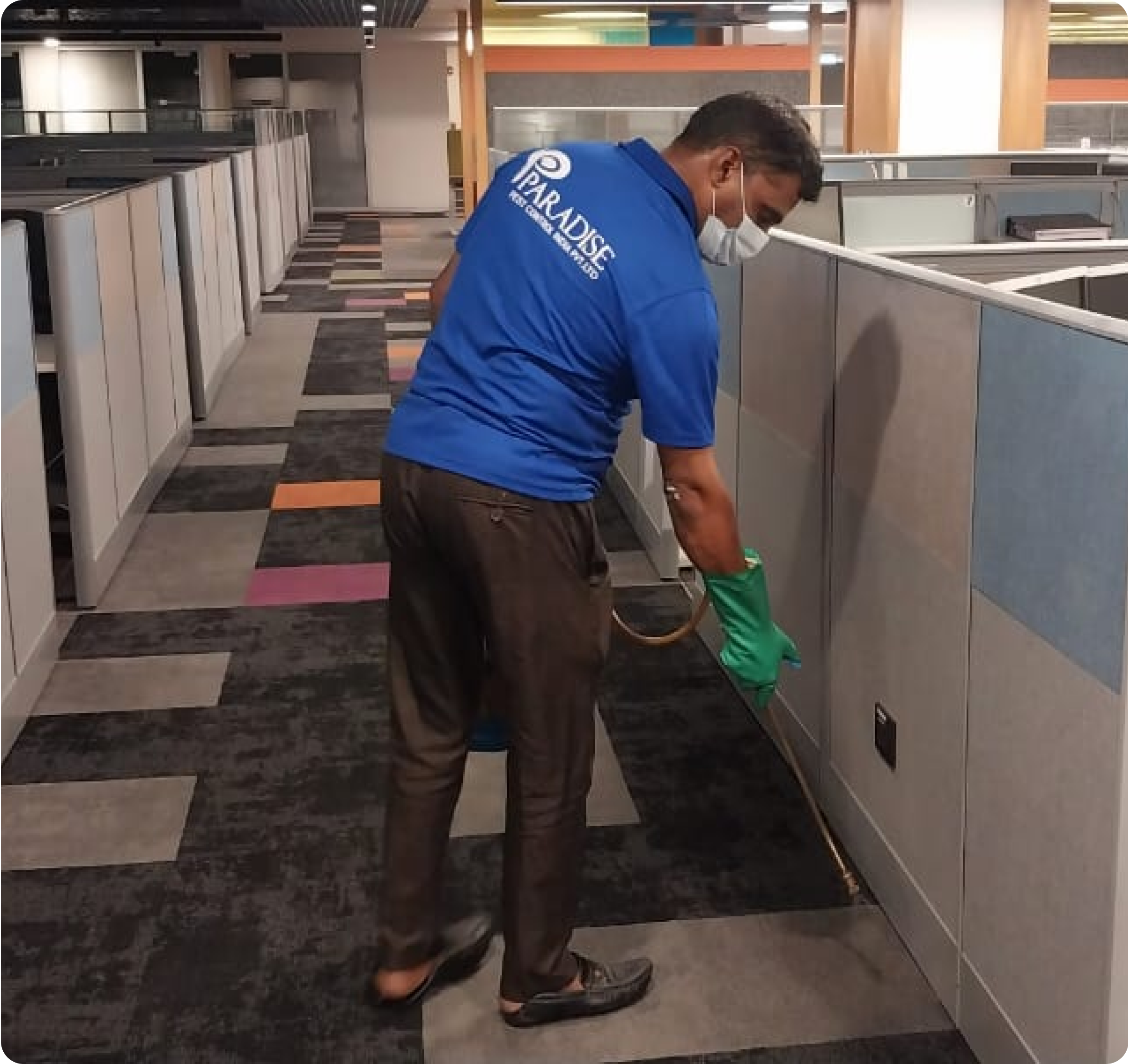 best pest control services in coimbatore