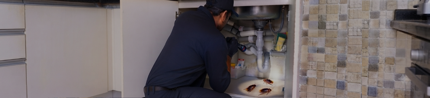 Cockroach Control Service in Coimbatore