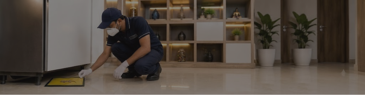 Best Lizard Control Service in Coimbatore