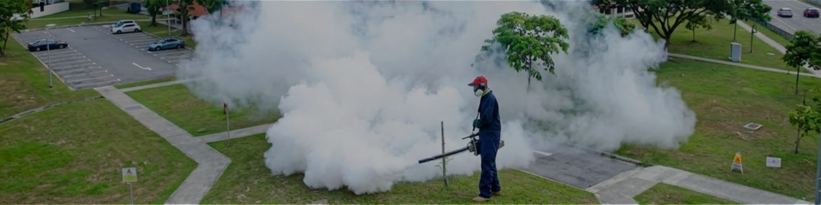 Best Mosquito Control Service in Coimbatore