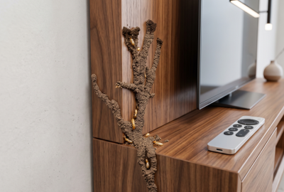 Protecting a new home from termites in Coimbatore